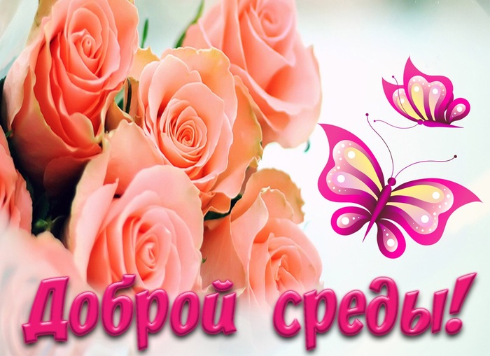 Открытки
